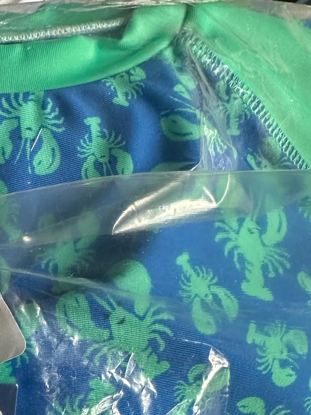 Roller Rabbit Boys Aqua and Bright Blue Sea Creatures Rashguard Set